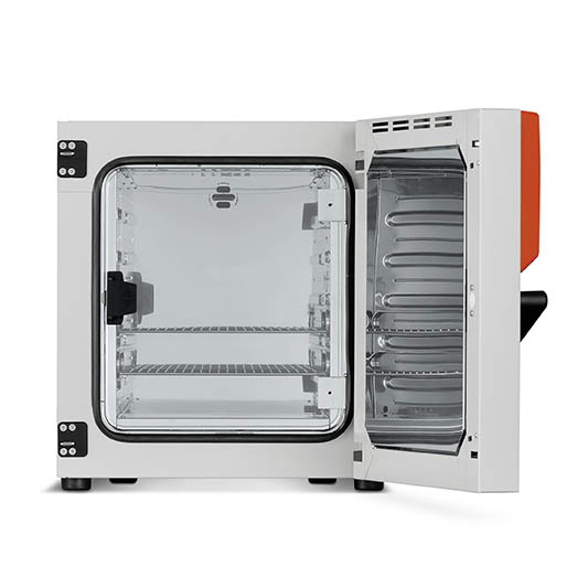INCUBADORA DE CONVECCIÓN NATURAL DE 62l. BINDER