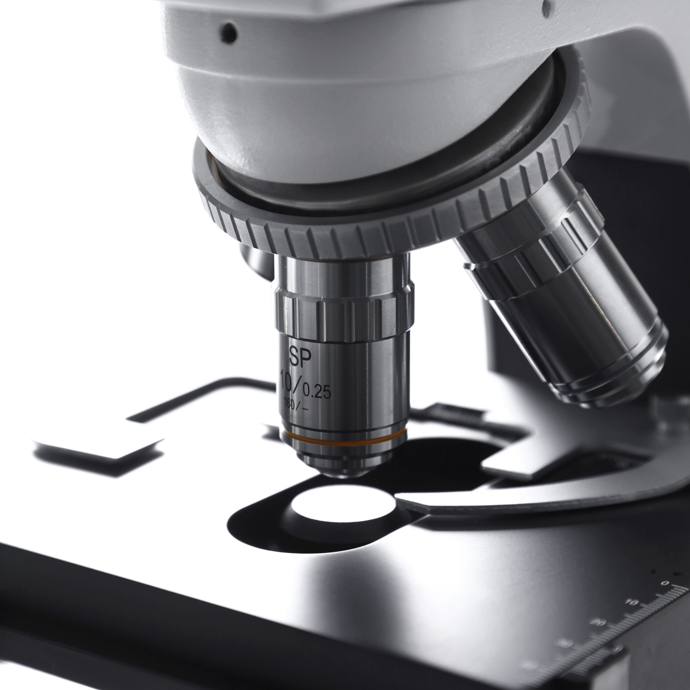 MICROSCOPIO BINOCULAR 1000X. LÁMPARA HALÓGENA. EUROMEX