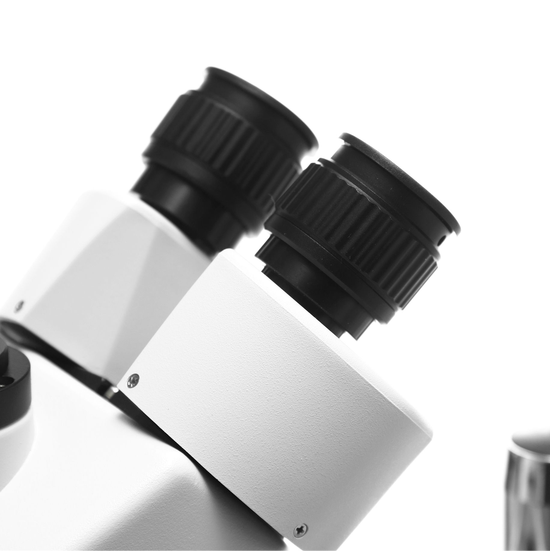 MICROSCOPIO BINOCULAR 1000X. LÁMPARA LED. EUROMEX