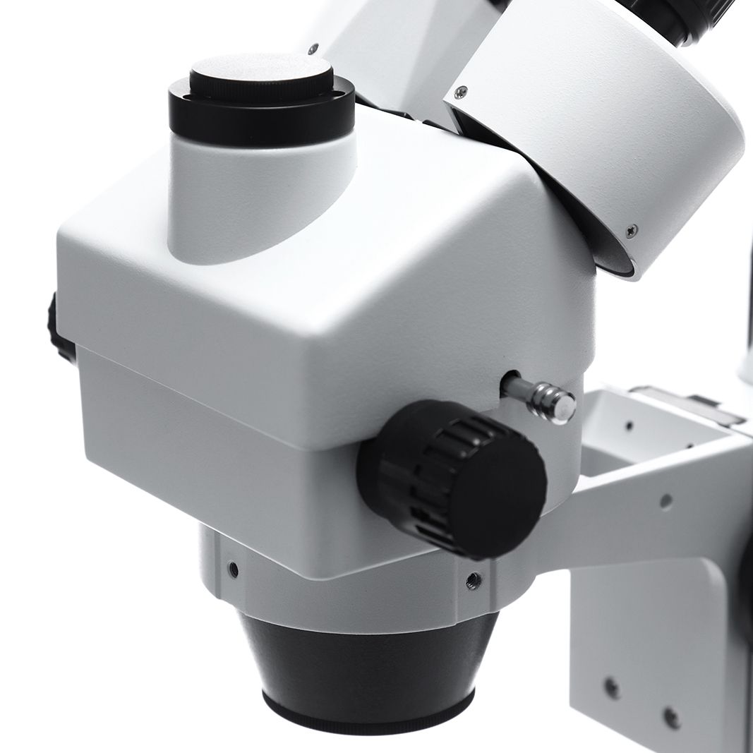 MICROSCOPIO BINOCULAR 1000X. LÁMPARA LED. EUROMEX