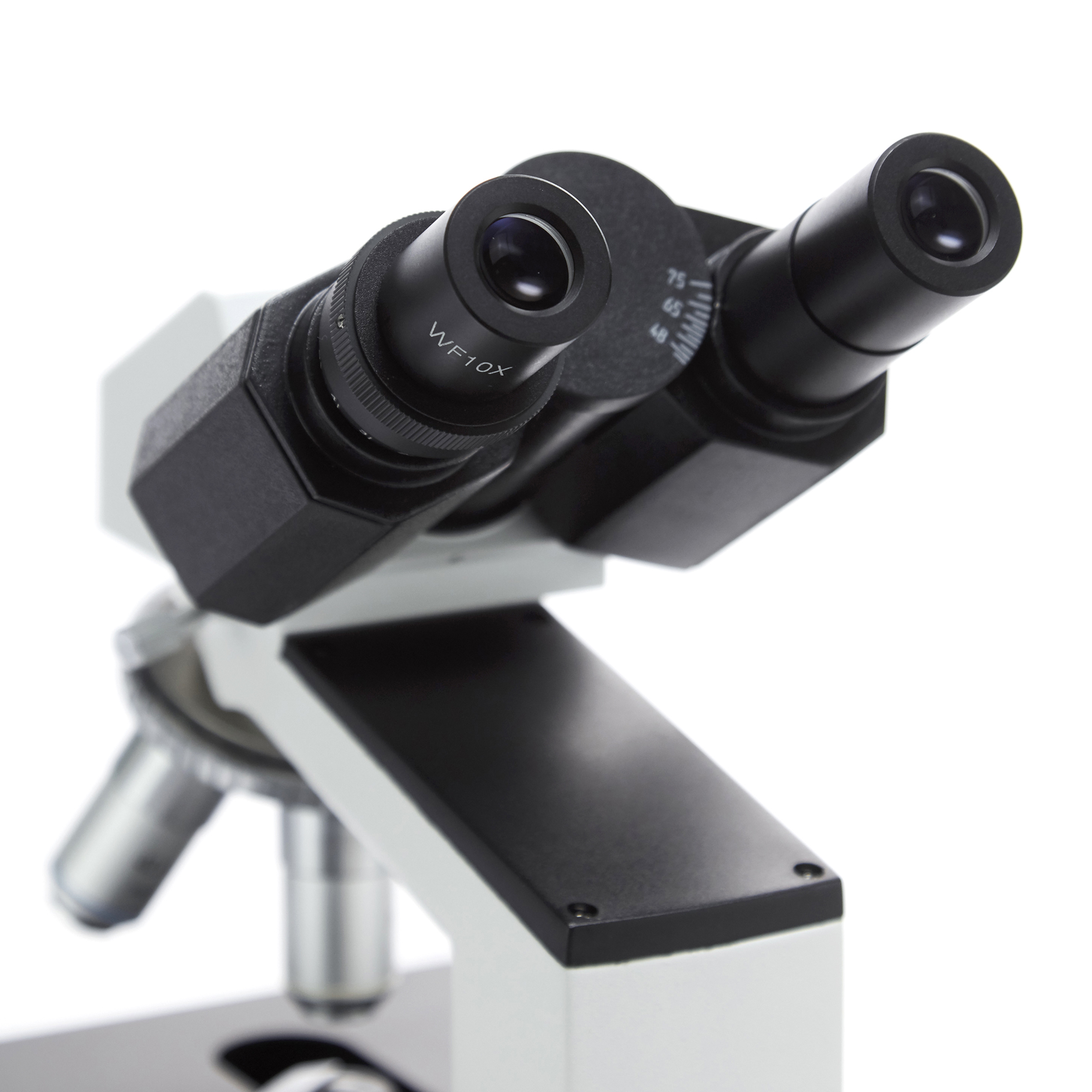 MICROSCOPIO BINOCULAR 1000X. LAUKA