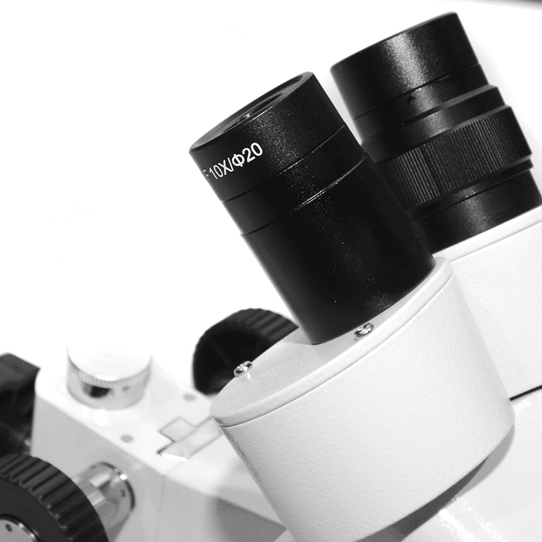 MICROSCOPIO ESTEROSCÓPICO 40X CON LÁMPARA. LAUKA